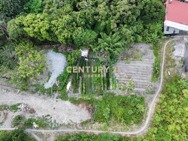 五峰段, Jiaoxi Township, Yilan City 262, Taiwan