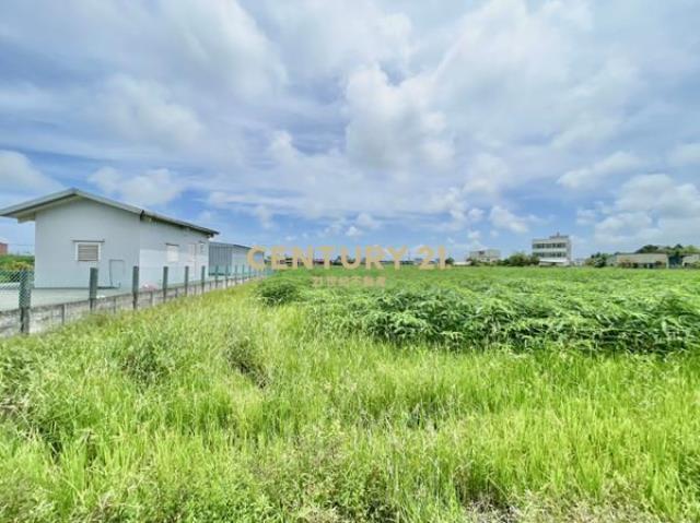 振興二段, 이란, 이란 260, 대만