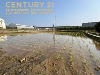 新生段, Beidou Township, Changhua County 521, Taiwan