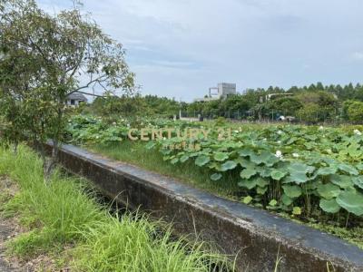 鼻仔頭段, Yuanshan Township, Yilan 264, Taiwán