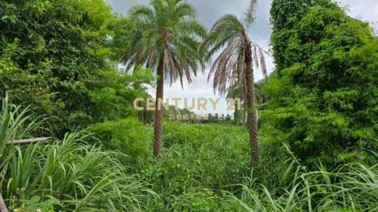 湖口段, Su'ao Township, Nghi Lan 270, Đài Loan