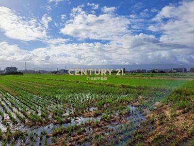 新福段, Zhuangwei Township, Yilan City 263, Taiwan