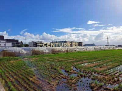 新福段, Zhuangwei Township, Yilan City 263, Taiwan