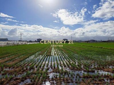 新福段, Zhuangwei Township, Yilan City 263, Taiwan