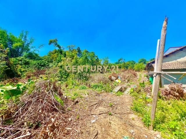 福興段, Nantou עיר, Nantou קאונטי 540, טיוואן