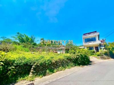 福興段, Nantou, Nantou County 540, Taïwan