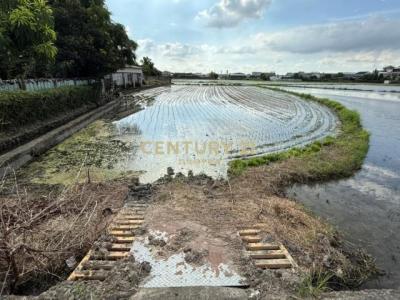 新埔段, Wufeng Dist., טאיצ'ונג עיר 413, טיוואן