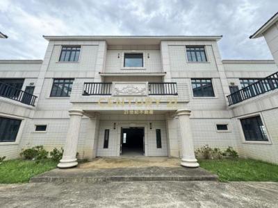 聖德北路, 大園區, Taoyuan 337, Taïwan