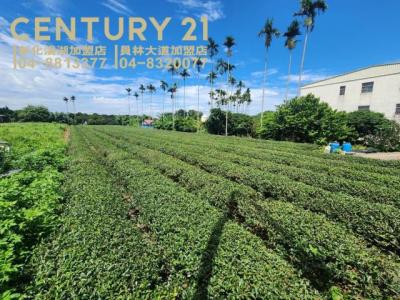 樟普寮段, Nantou עיר, Nantou קאונטי 540, טיוואן 