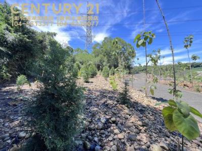 中崙段, Fenyuan Township, Changhua County 502, 台湾