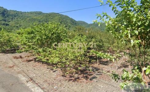 淋漓坑段, Dongshan Township, Yilan City 269, Taiwan