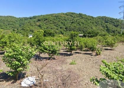 淋漓坑段, Dongshan Township, 이란 269, 대만