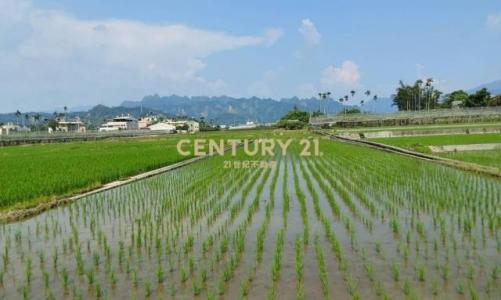 頂崁段, Caotun بلدة, مقاطعة نانتو 542, تايوان