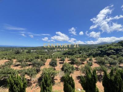 土地公埔段埔尾小段, Sanzhi Dist., Nueva Taipei 252, Taiwán