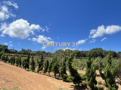 土地公埔段埔尾小段, Sanzhi Dist., Nueva Taipei 252, Taiwán