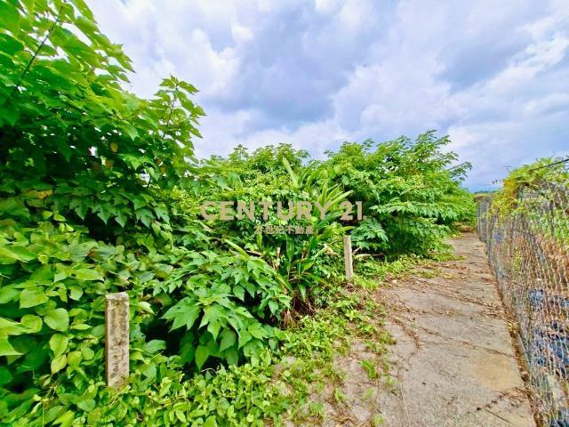 新南段, Xinshe Dist., Taichung City 426, Taiwan