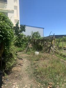 崇德路四段, Tanzi Dist., Taichung 427, Taiwan