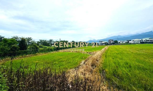 群英段, Dongshan Township, Yilan 269, Taiwan