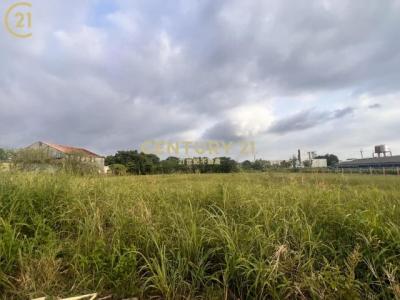 什乃, Shanhua Dist., Tainan 741, Taïwan