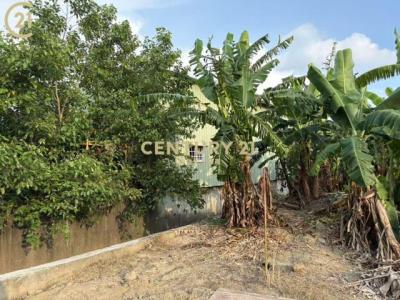 南洲, Shanshang Dist., Tainan City 743, Taiwan