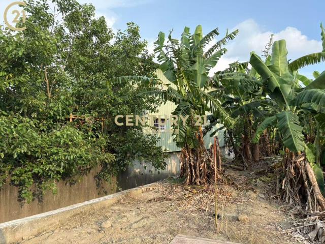 南洲, Shanshang Dist., Tainan City 743, Taiwan