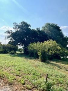 大字多和目, 坂戸市, Saitama 350-0246, Japan