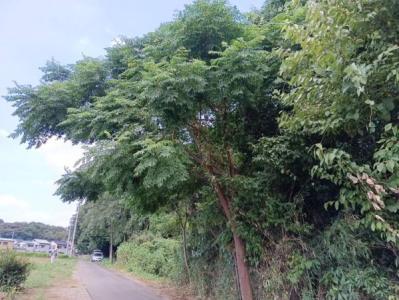 中分２丁目, 上尾市, Saitama 362-0067, 일본