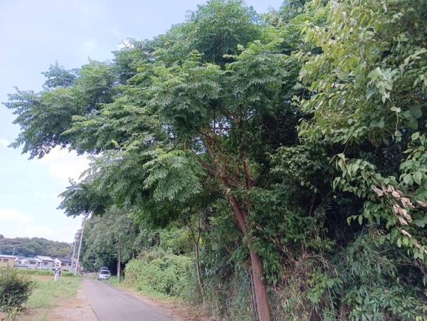 中分2丁目, 上尾市, Saitama 362-0067, 일본