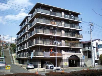 401, すみれが丘４３－１９, バイオレットヒルズ, 横浜市都筑区, 神奈川 224-0013, 日本