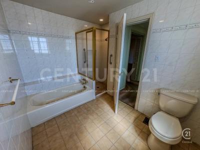 チワワ, チワワ 31213, メキシコ