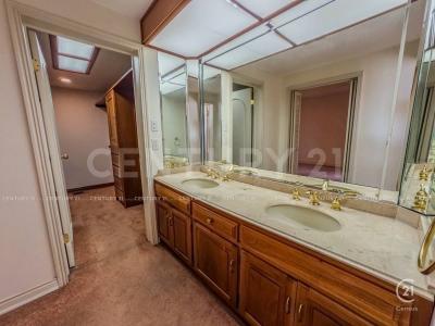 チワワ, チワワ 31213, メキシコ