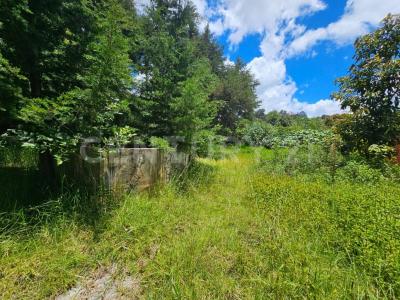 Jazmin 7, San Cristóbal De Las Casas, Chiapas 29230, Mexico