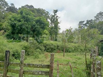 A 30 min. de la caseta a Ocozocoautla,  colindante con el ejido ing. Armando Zebadua S/N, Ocozocoautla De Espinosa, チアパス 29140, メキシコ