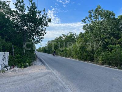 Region 8 manzana 659 Lote 02, Tulum, Quintana Roo 77760, Meksyk