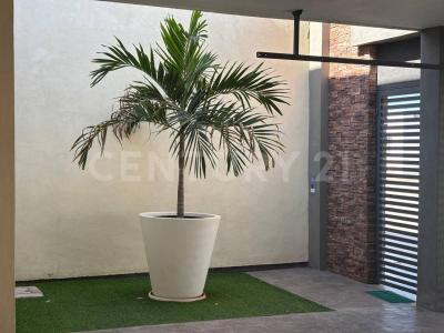 Viñedo de Champaña #995, Ahome, 锡那罗亚 81228, 墨西哥