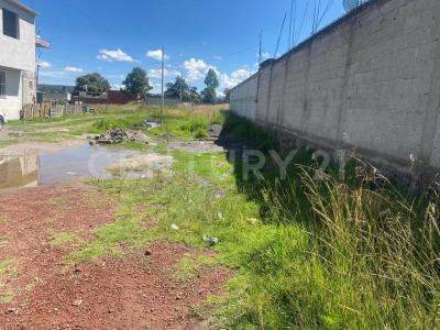 LA TRASQUILA SN, Apizaco, Tlaxcala 90402, Mexique