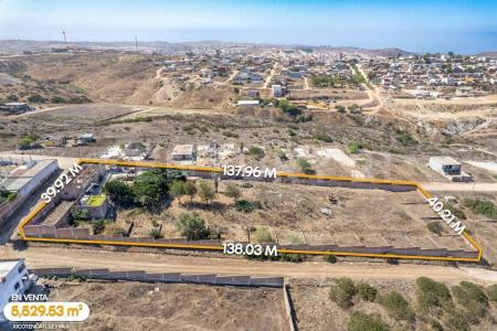 Benito Juarez 4702, Tijuana, Baja California 22660, Mexico