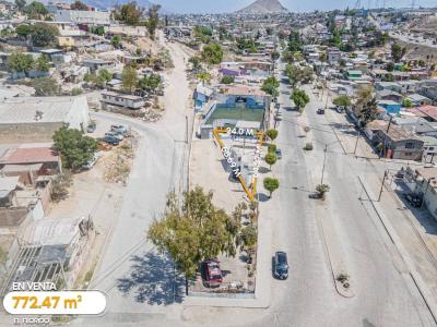 calle principal 24008, Tijuana, Baja California 22727, Mexico