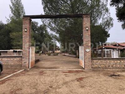 Blvd San Mateo y Ave. Santin S/N, Tecate, Baja California 21553, Messico