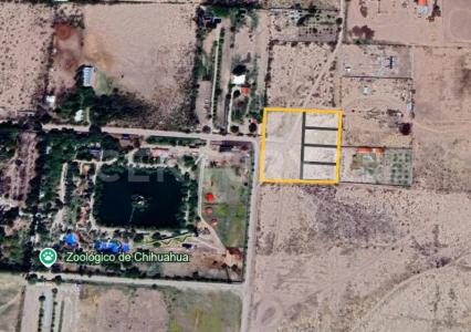 Calle de las Moras a Calle Huizache 4303, Aldama, Chihuahua 32918, México