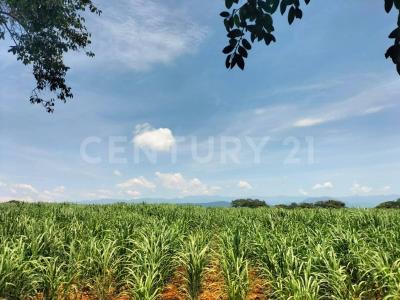 Carretera Alcaraces - alzada s/n, Cuauhtemoc, Colima 28520, Mexico