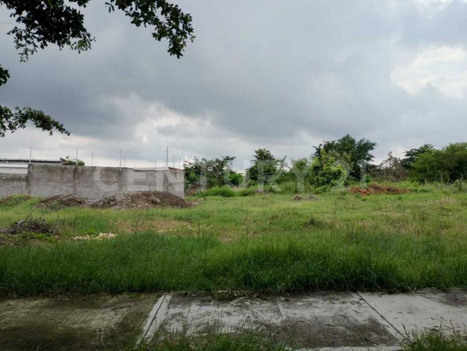 Azor 30 San Rafael, Cuauhtemoc, קולימה 28504, מקסיקו