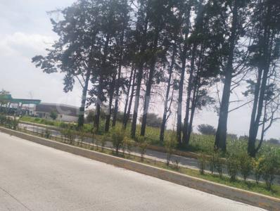 Metepec, Meksyk (stan) 52176, Meksyk