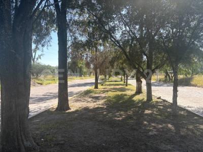 Tio Carlos SN, El Marqués, Querétaro 76265, Meksika