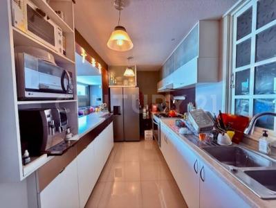 GENERAL ANTONIO DE LEON 18, Miguel Hidalgo, Ciudad De México 11850, Mexico