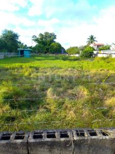 Pinos 1, Altamira, Tamaulipas 89632, Messico