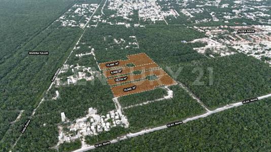 Tulum, Quintana Roo 77780, Mexico