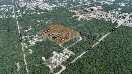 Tulum, Quintana Roo 77780, Mexico