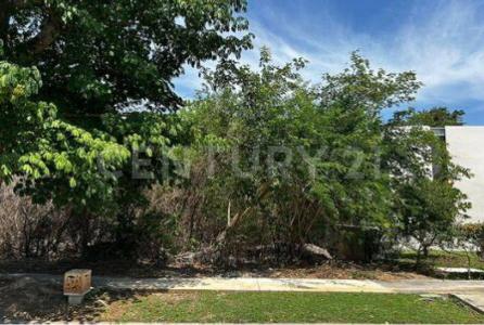 Xpokin 36, Mérida, Юкатан 97050, Мексика