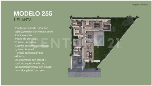 79 Diagonal s/n, Mérida, Yucatan 97300, Mexico